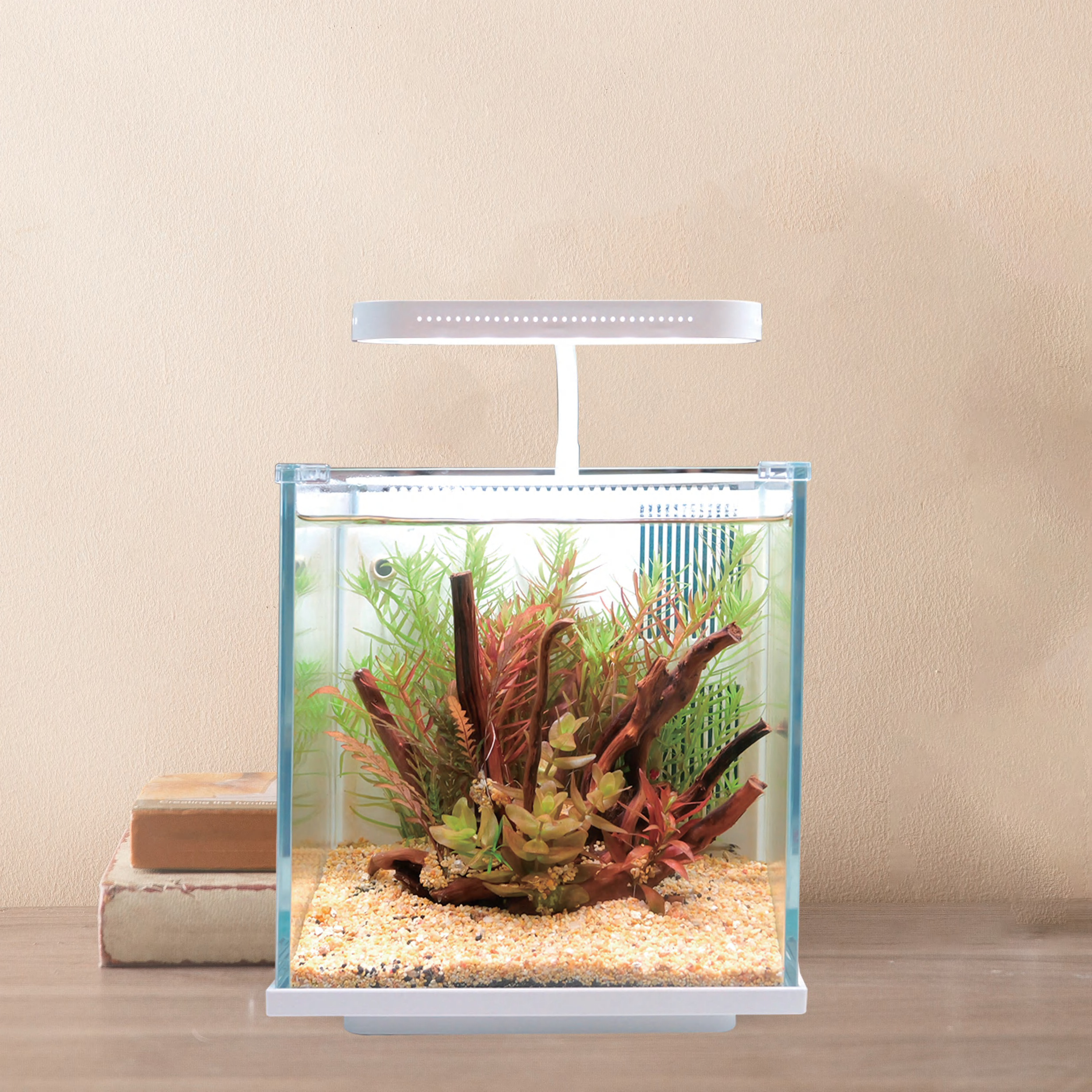 BL-200PG背面ろ過水槽