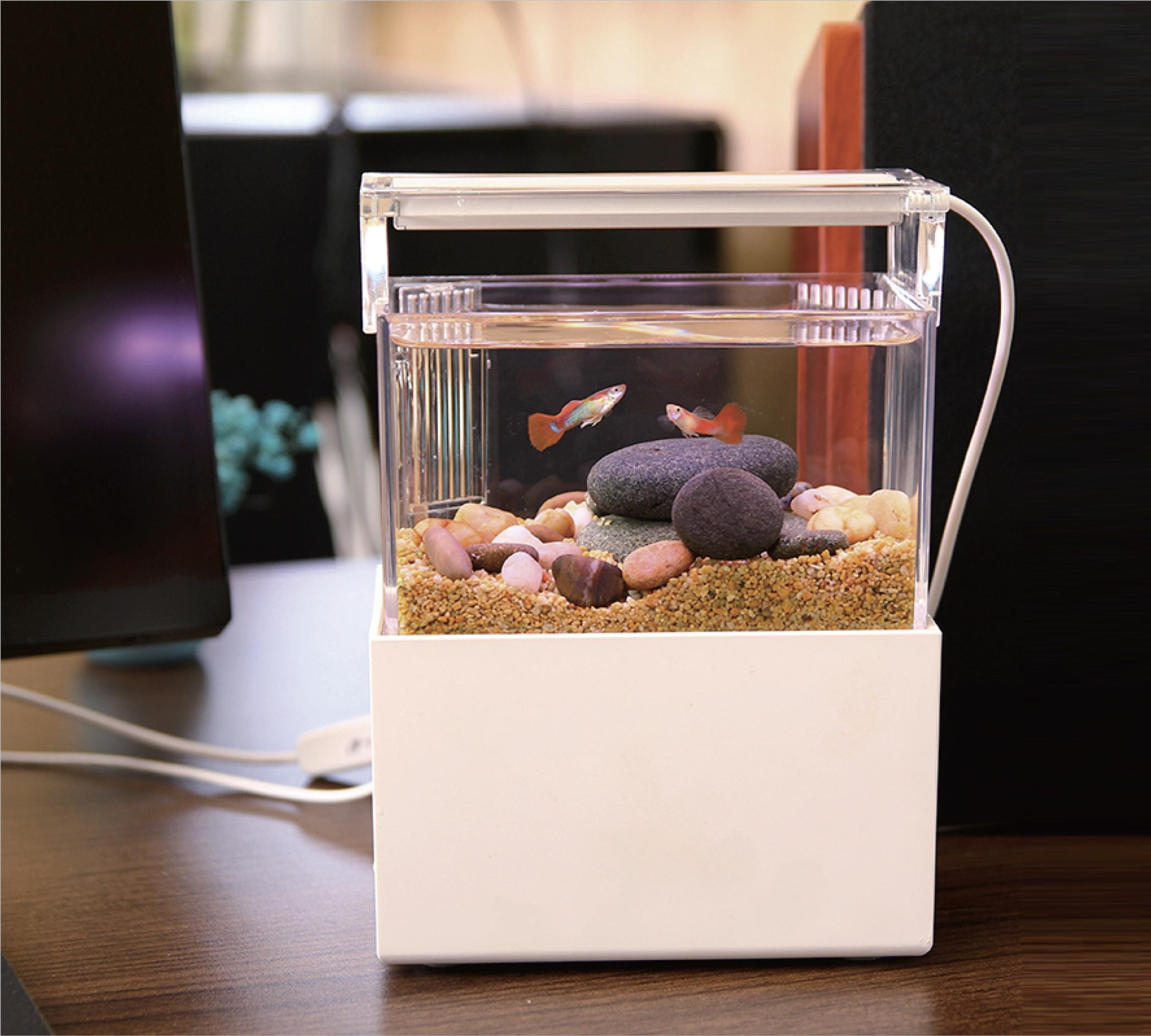 DL-150C底面ろ過水槽