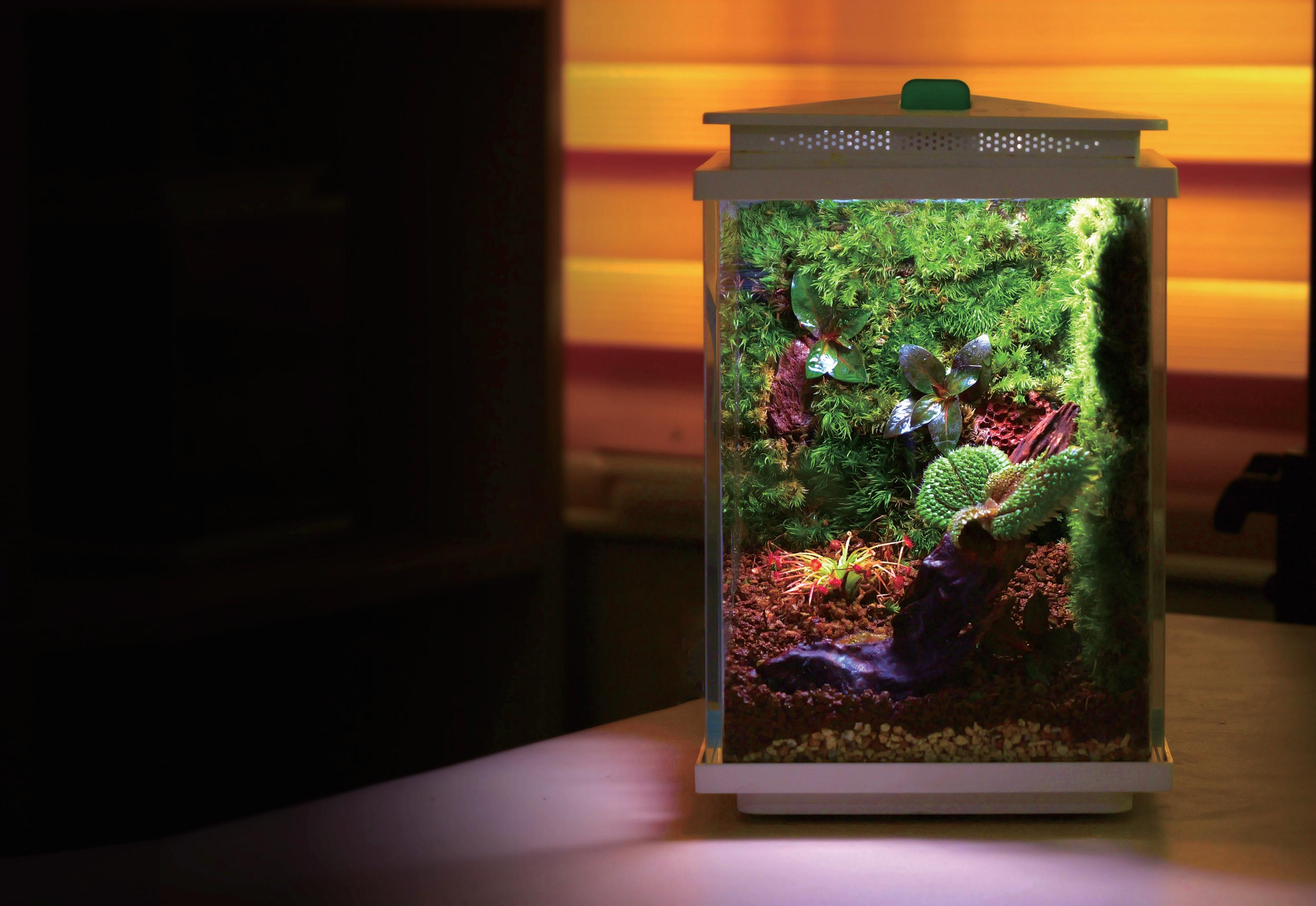 TX-150Fマイクロアクアスケープ生態水槽