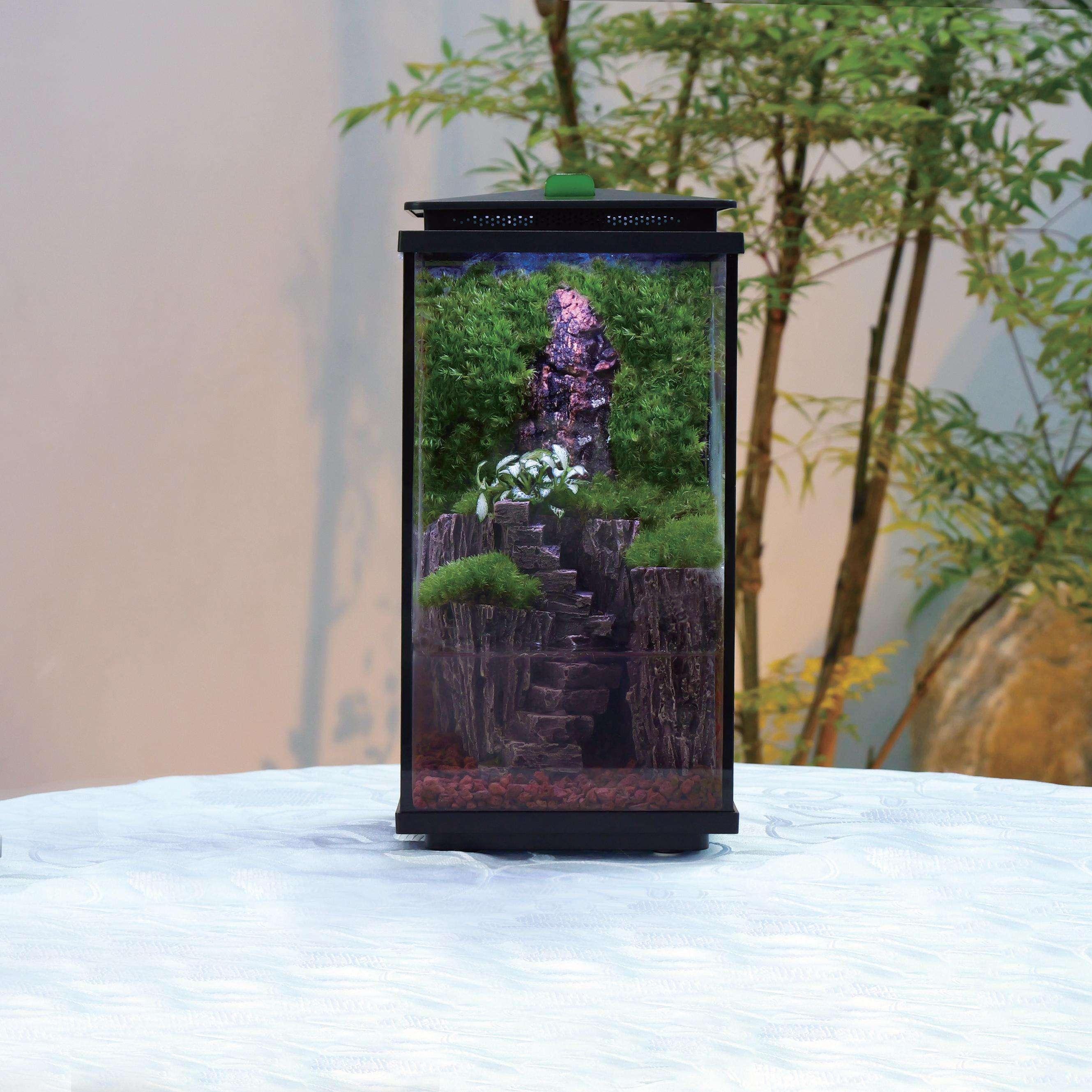 TX-260Fマイクロアクアスケープ生態水槽