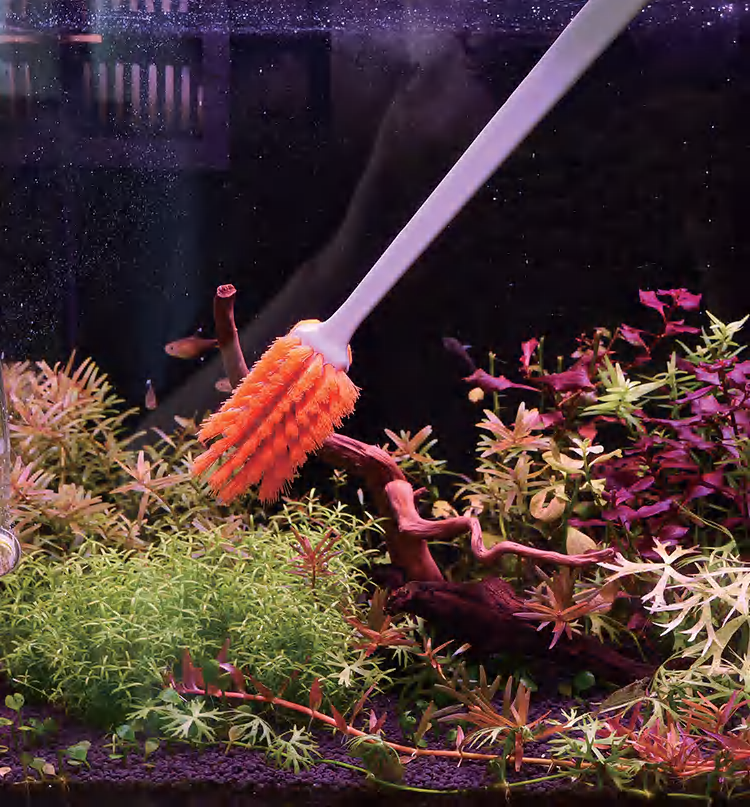 水槽用クリーニングブラシ