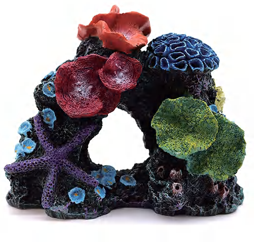 HF-200サンゴの景観