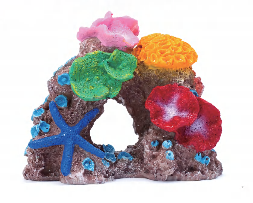 HF-200Qサンゴの景観