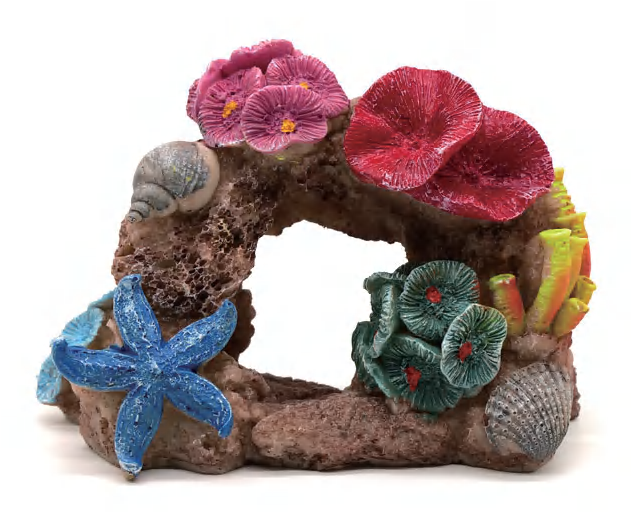 HF-152サンゴの景観